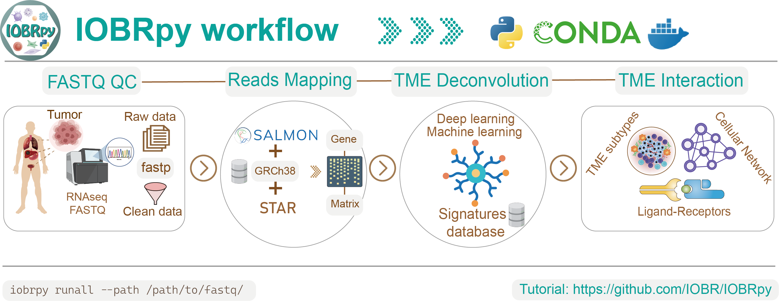 IOBRpy workflow