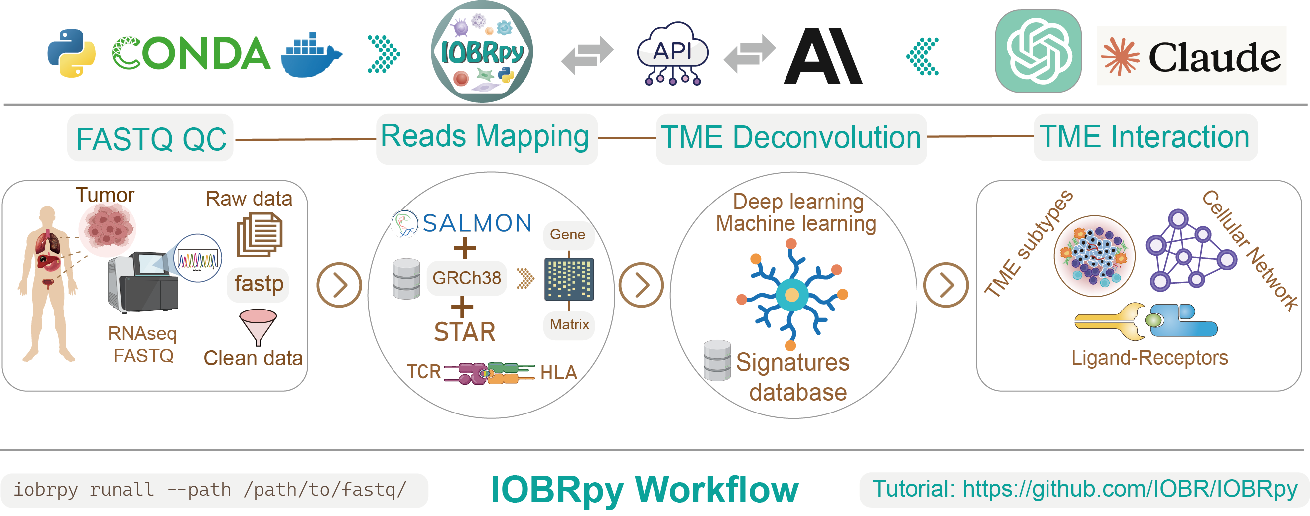 IOBRpy workflow