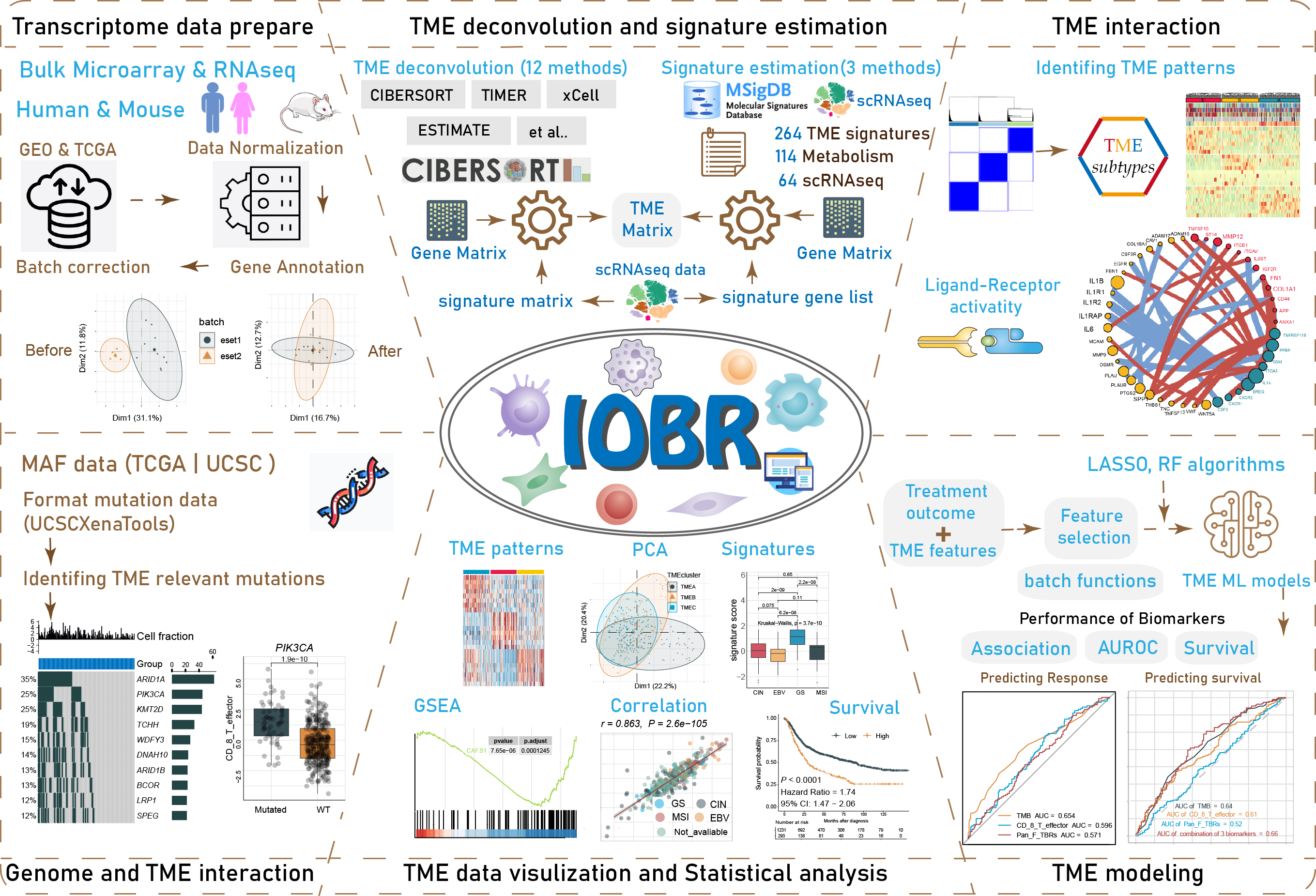 The workflow of IOBR