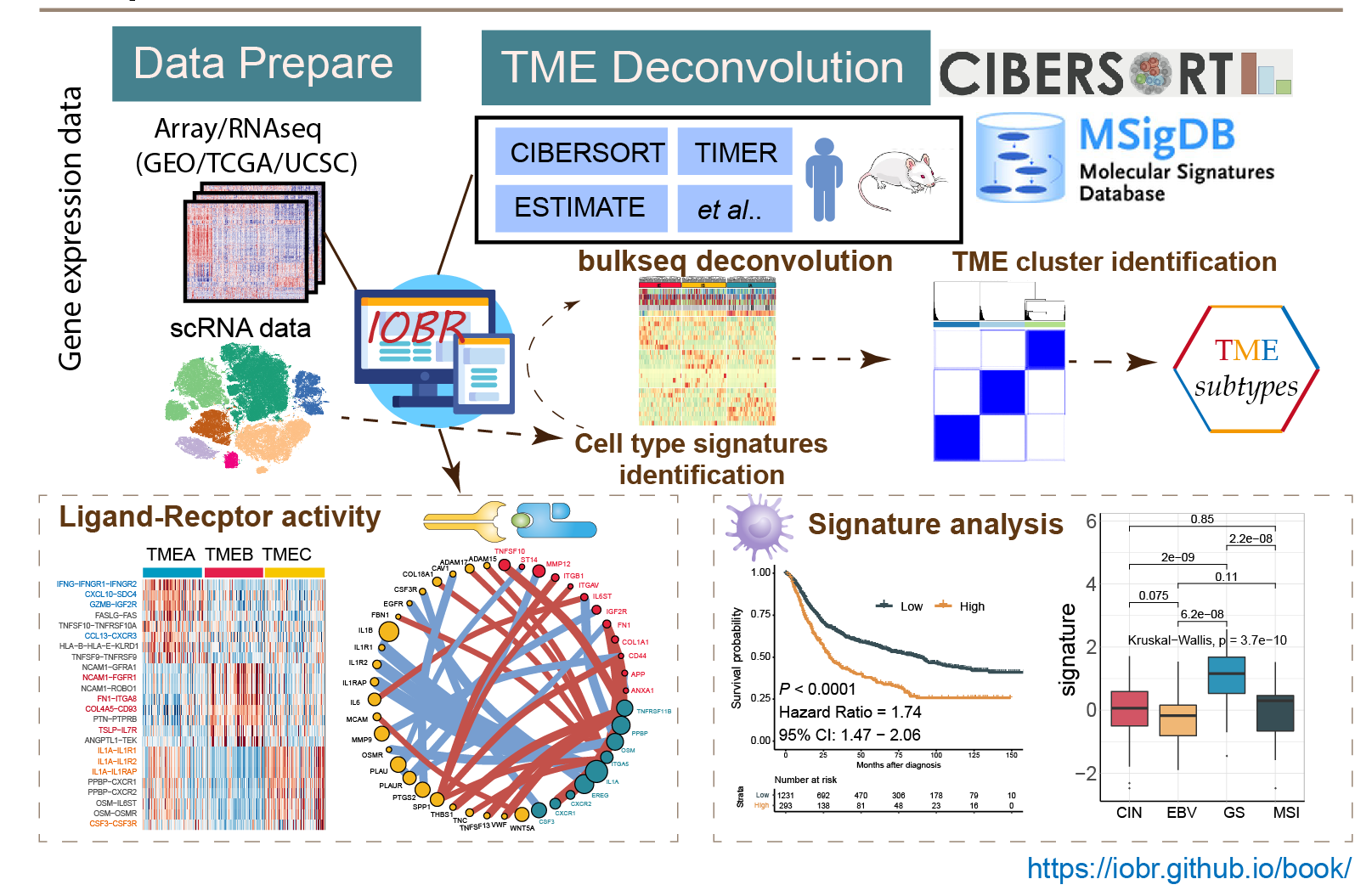 The workflow of IOBR