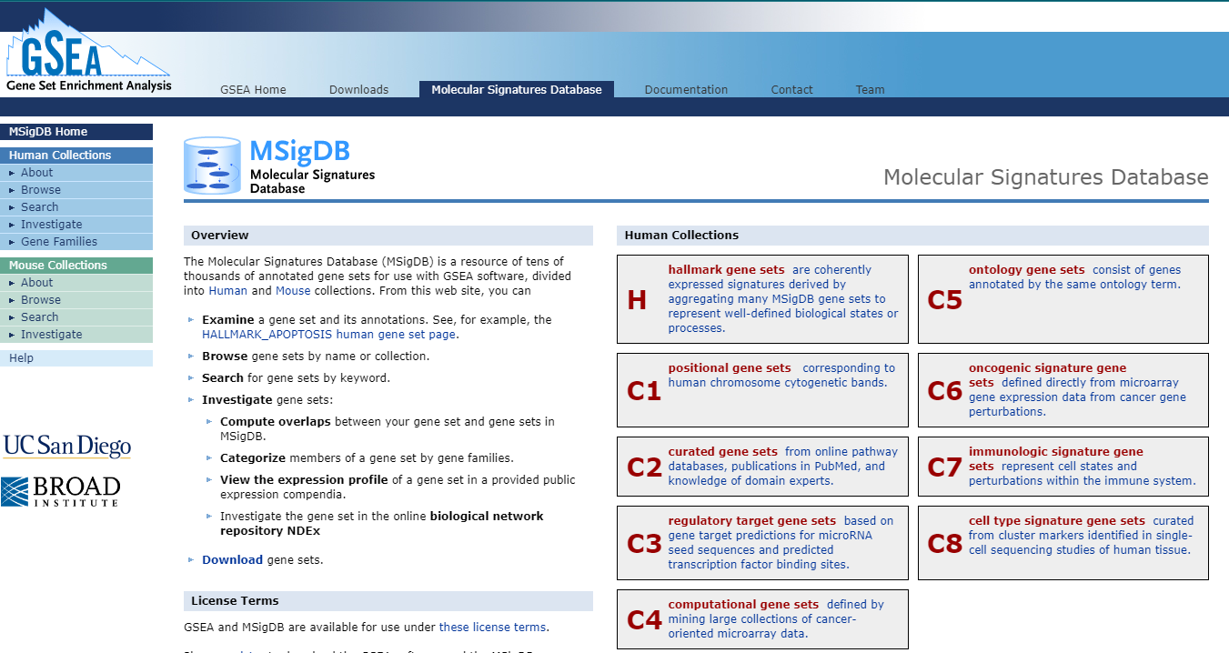 Gene sets of MSigDb